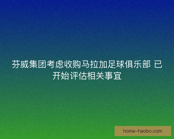 芬威集团考虑收购马拉加足球俱乐部 已开始评估相关事宜 芬威集团考虑收购马拉加足球俱乐部 已开始评估相关事宜