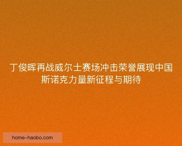 丁俊晖再战威尔士赛场冲击荣誉展现中国斯诺克力量新征程与期待 丁俊晖再战威尔士赛场冲击荣誉展现中国斯诺克力量新征程与期待